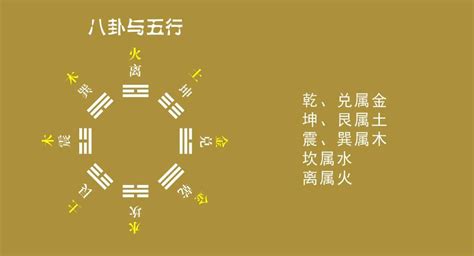 属火的东西|「万物类象」金、水、木、火、土五行取象